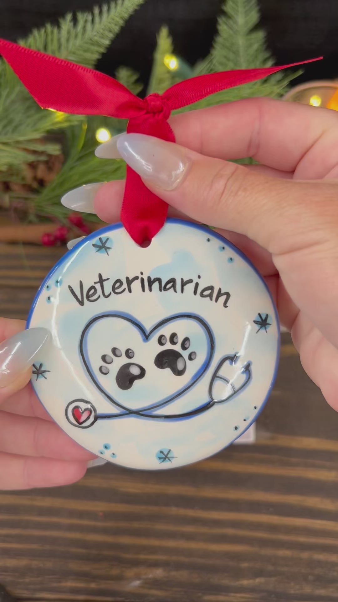 Load video: Veterinarian