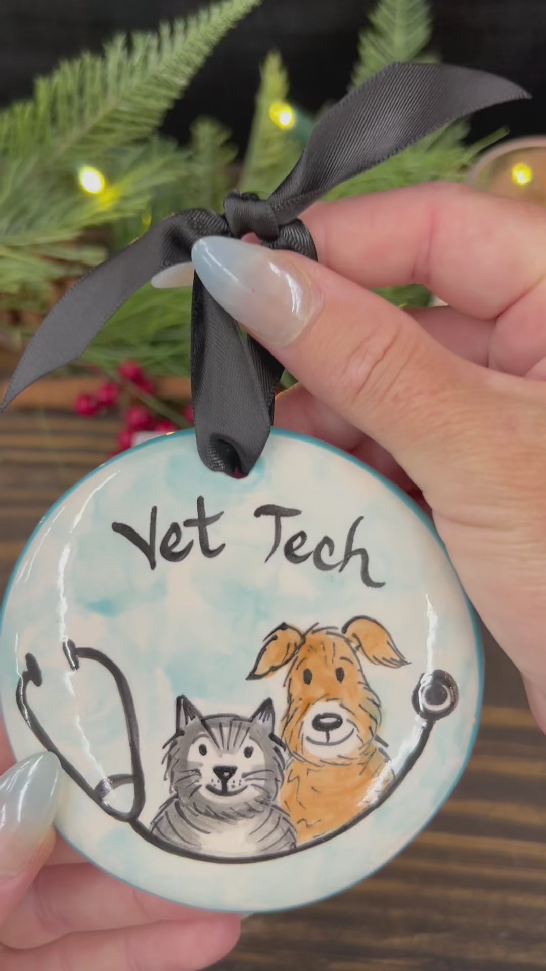 Load video: Vet Tech